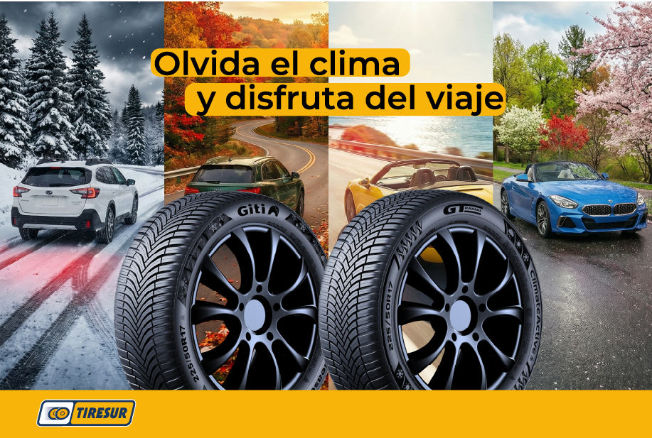 Distribución de Neumáticos All Season 2026: Guía para Talleres | Tiresur